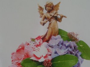 SAMSUNG CAMERA PICTURES