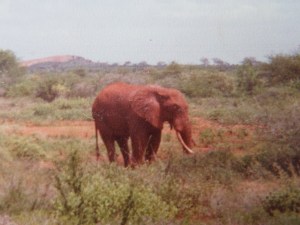 SAMSUNG CAMERA PICTURES