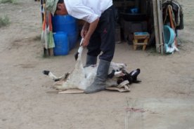 SAMSUNG CAMERA PICTURES